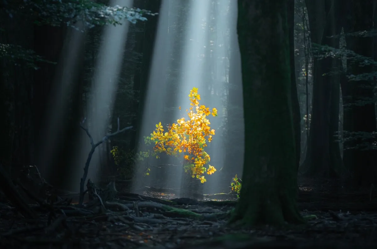 This photographer crisscrossed the Netherlands and found a country different from the daytime view