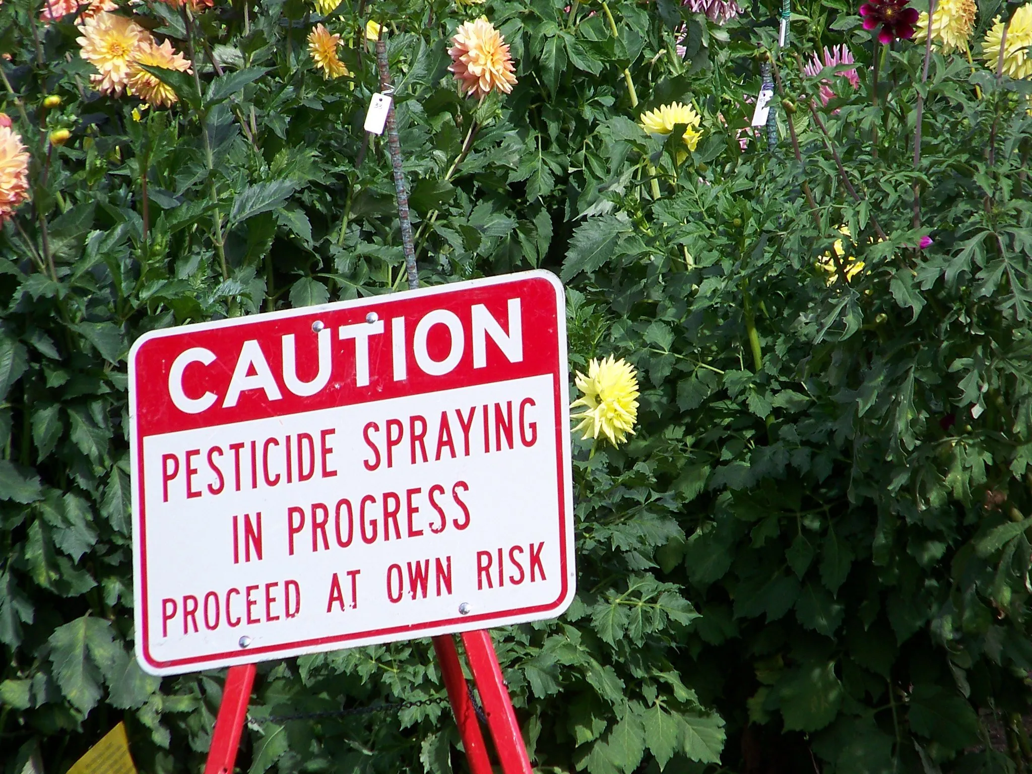 EU deadlocked on pesticides overhaul as scientists call for pause — Europe should seek pragmatic cooperation, including with Russia